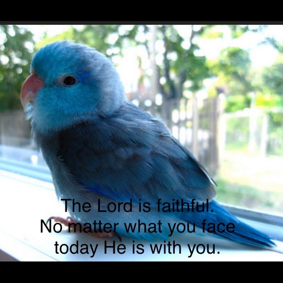 ♥️ Bookmark to come back again & again ❤️ - Picture 7 of 7